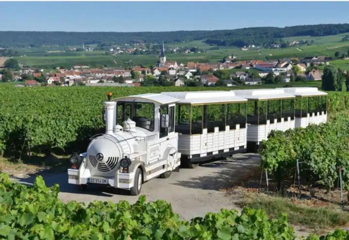 La Petillante Epernay N4 エクステリア 写真